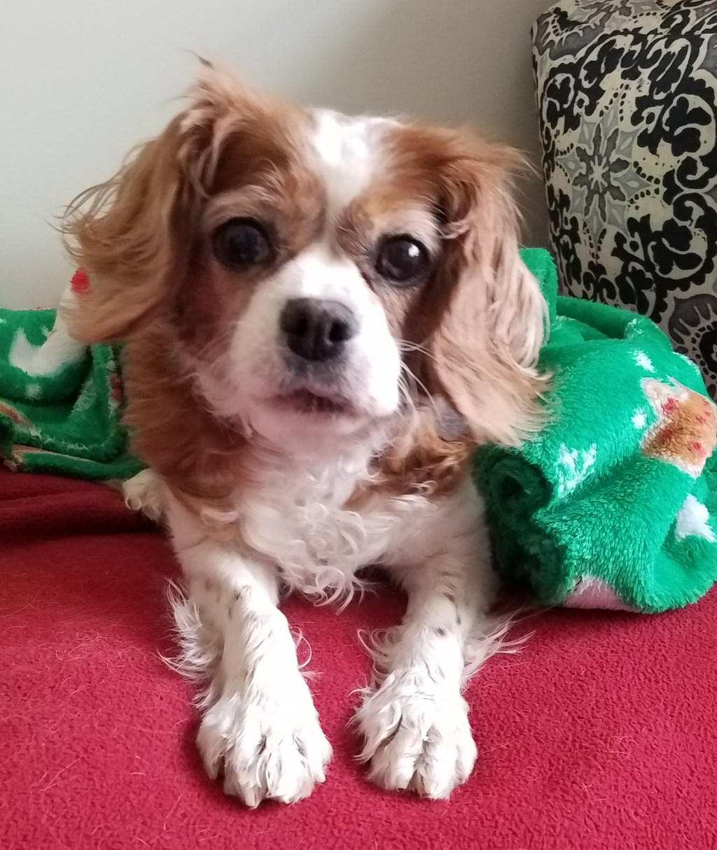 Thank you to our Blog & FB&nbsp;Followers!