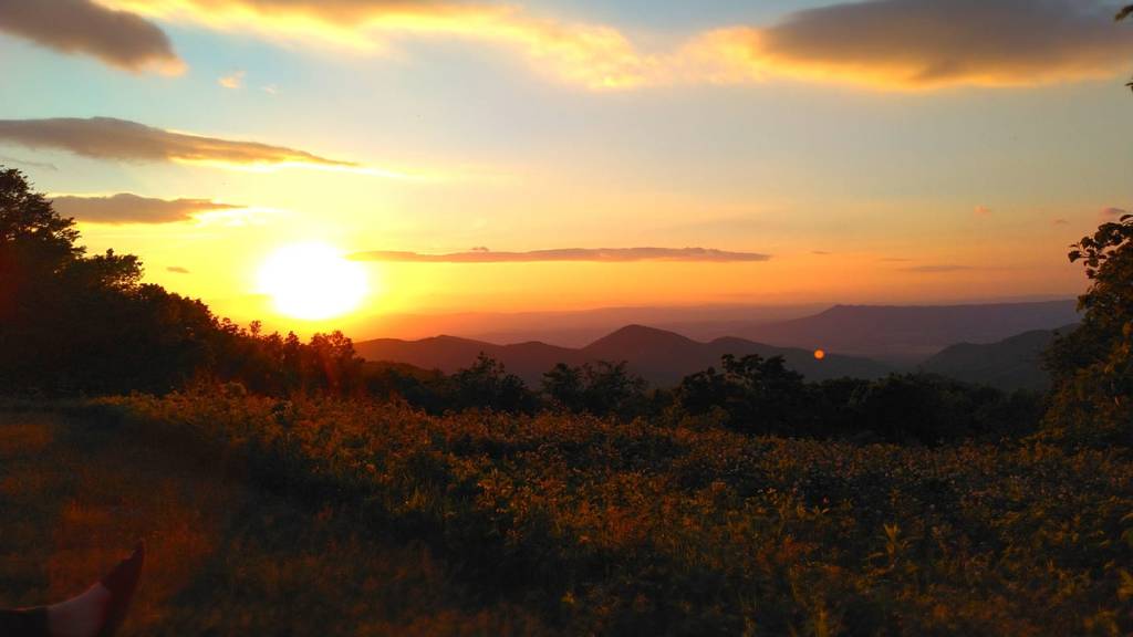 3 weeks along the Shenandoah National Park-Summer ’21(Part 1,&nbsp;NY-PA-VA)